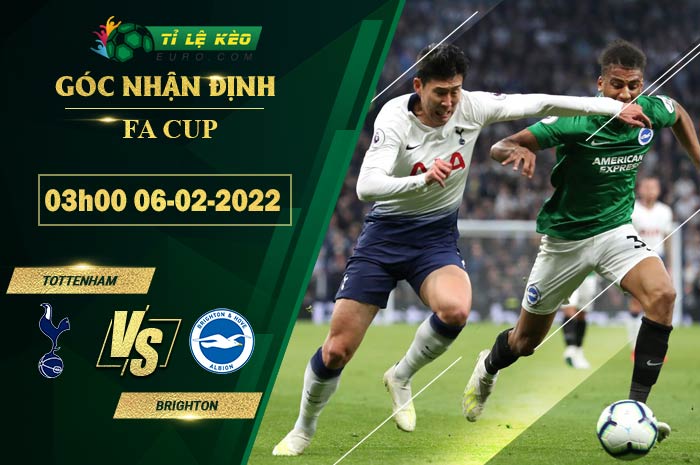 soi kèo Tottenham vs Brighton