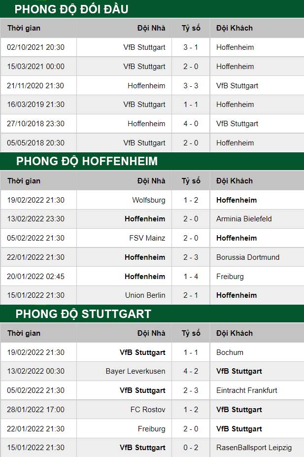 thông số đối đầu trận đấu Hoffenheim vs Stuttgart
