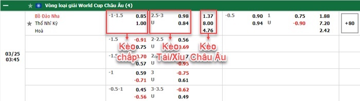 bảng kèo trận đấu Bo Dao Nha vs Tho Nhi Ky