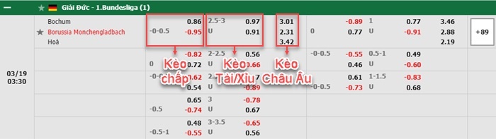 bảng kèo trận đấu Bochum vs Monchengladbach