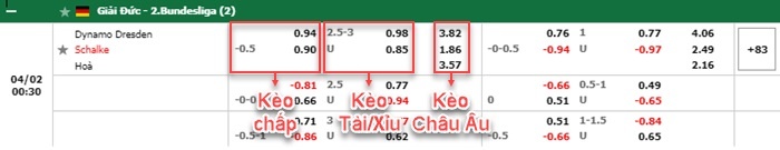 bảng kèo trận đấu Dynamo Dresden vs Schalke
