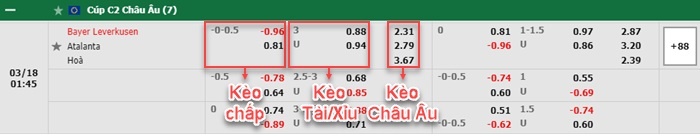 bảng kèo trận đấu Leverkusen vs Atalanta