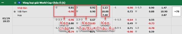 bảng kèo trận đấu Nhật Bản vs Việt Nam