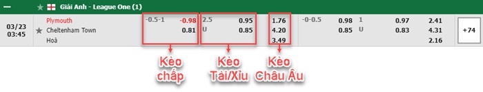 bảng kèo trận đấu Plymouth vs Cheltenham Town