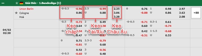 bảng kèo trận đấu Union Berlin vs Cologna