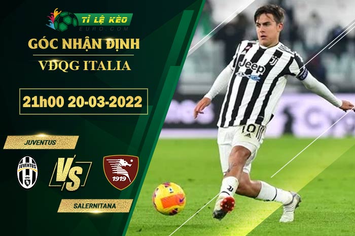 soi kèo Juventus vs Salernitana