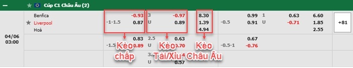thông số đối đầu trận đấu Benfica vs Liverpool