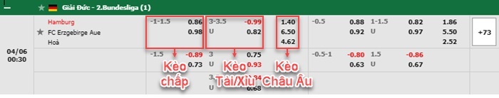 bảng kèo trận đấu Hamburger vs Aue