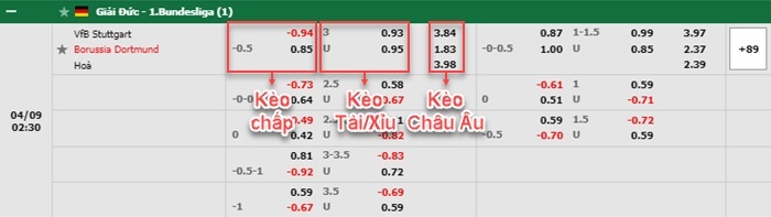 bảng kèo trận đấu Stuttgart vs Dortmund