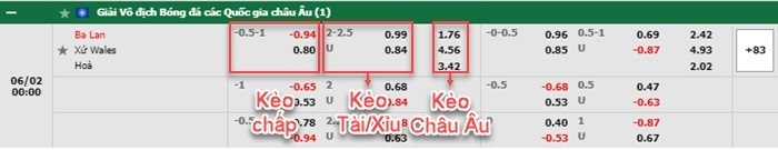 bảng kèo trận đấu Ba Lan vs Wales