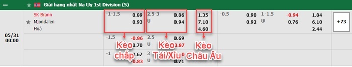 bảng kèo trận đấu Brann vs Mjondalen