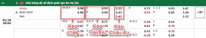 bảng kèo trận đấu Molde vs Bodo Glimt
