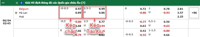 thông số đối đầu trận đấu Bỉ vs Hà Lan