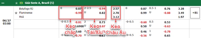 bảng kèo trận đấu Botafogo vs Fluminense