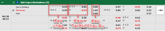 bảng kèo trận đấu Cerro Porteno vs Palmeiras