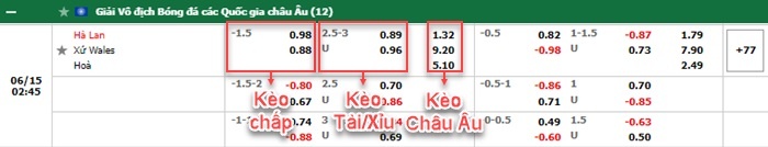 bảng kèo trận đấu Ha Lan vs Wales