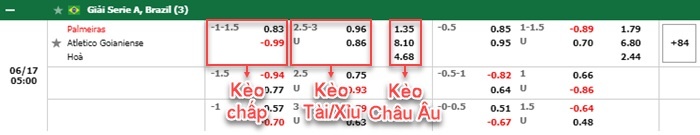 bảng kèo trận đấu Palmeiras vs Goianiense