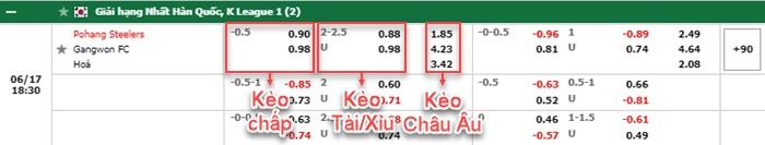 bảng kèo trận đấu Pohang Steelers vs Gangwon
