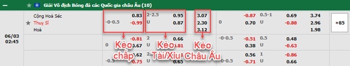 bảng kèo trận đấu Séc vs Thụy Sĩ