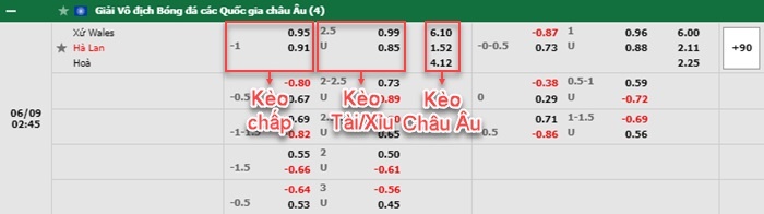 bảng kèo trận đấu Wales vs Hà Lan