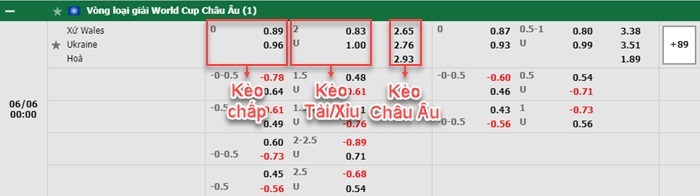 bảng kèo trận đấu Wales vs Ukraine