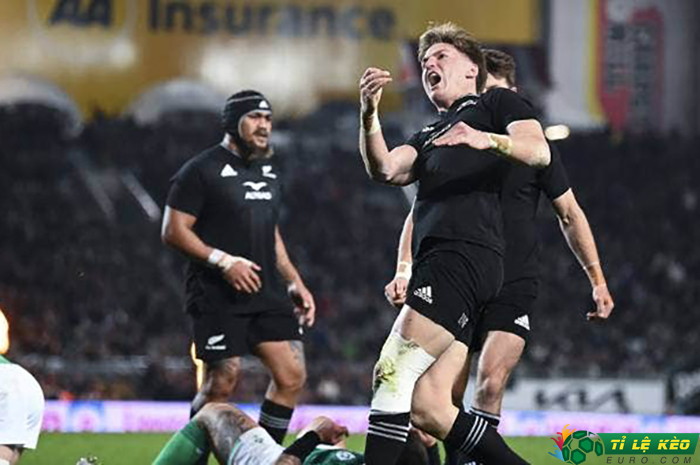 New Zealand 42-19 Ireland