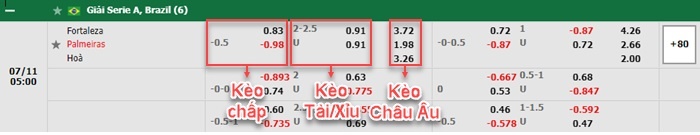 bảng kèo trận đấu Fortaleza vs Palmeiras