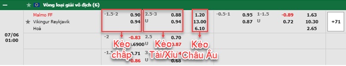 bảng kèo trận đấu Malmo vs Vikingur