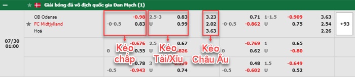 bảng kèo trận đấu Odense vs Midtjylland