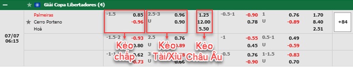 bảng kèo trận đấu Palmeiras vs Cerro Porteno