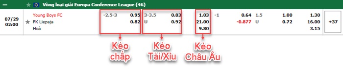 bảng kèo trận đấu Young Boys vs FK Liepaja