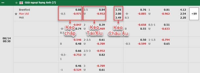 bảng kèo trận đấu Brentford vs Man United