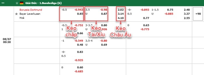 bảng kèo trận đấu Dortmund vs Leverkusen