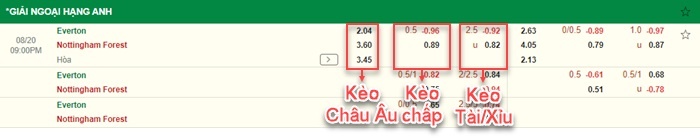 bảng kèo trận đấu Everton vs Nottingham