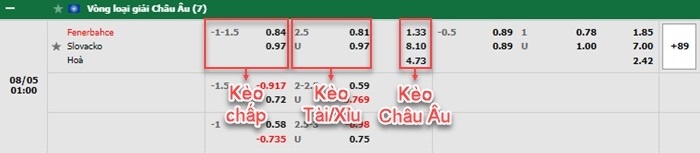 bảng kèo trận đấu Fenerbahce vs Slovacko