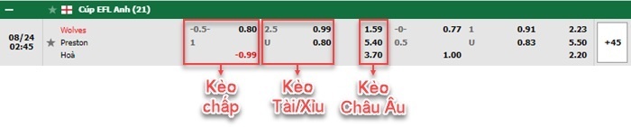 bảng kèo trận đấu Wolves vs Preston