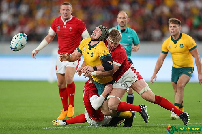 Rugby World Cup