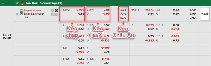 bảng kèo trận đấu Bayern Munich vs Leverkusen