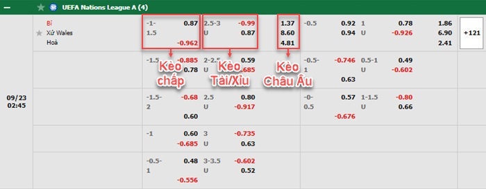 bảng kèo trận đấu Bỉ vs Wales