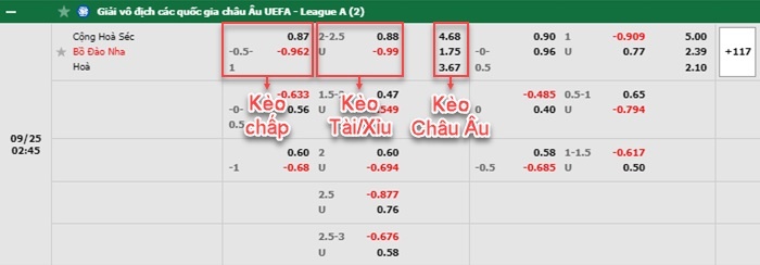 bảng kèo trận đấu CH Czech vs Bồ Đào Nha