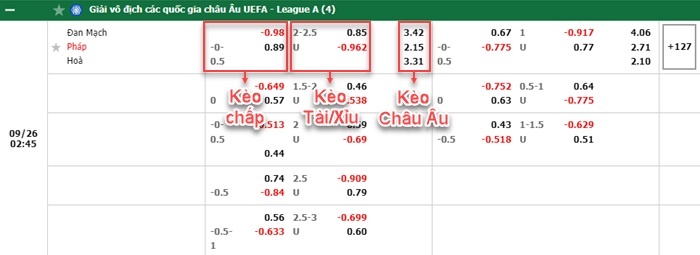 bảng kèo trận đấu Đan Mạch vs Pháp
