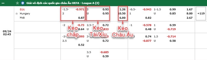 bảng kèo trận đấu Đức vs Hungary