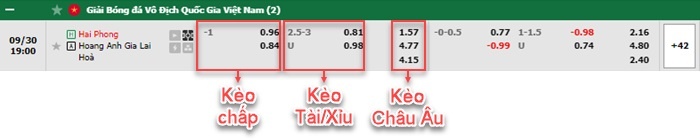 bảng kèo trận đấu Hải Phòng vs Hoàng Anh Gia Lai