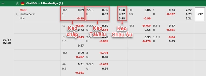 bảng kèo trận đấu Mainz vs Hertha Berlin