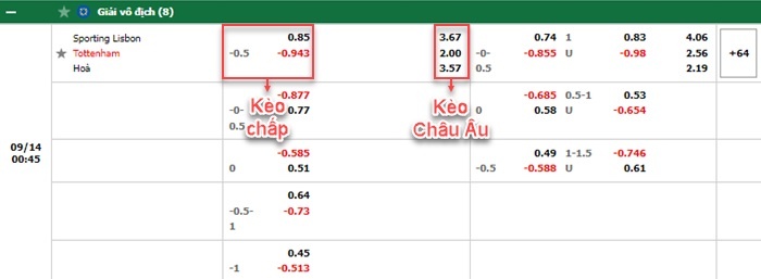 bảng kèo trận đấu Sporting Lisbon vs Tottenham