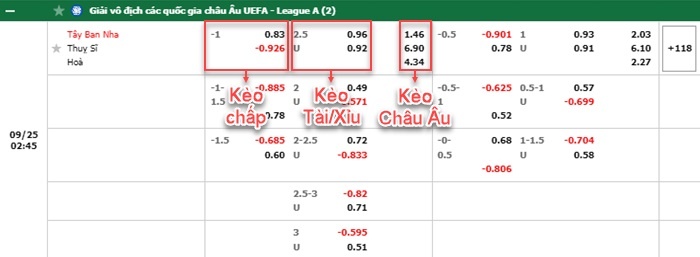 bảng kèo trận đấu Tây Ban Nha vs Thụy Sĩ