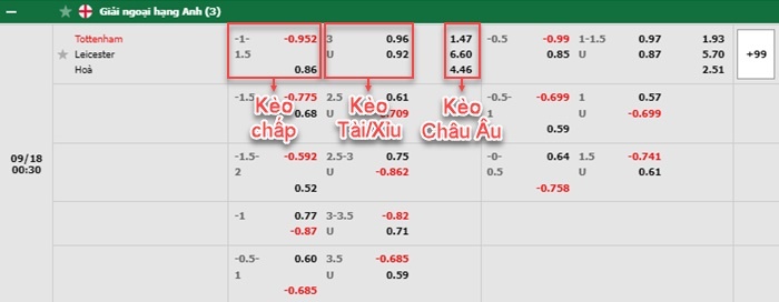 bảng kèo trận đấu Tottenham vs Leicester