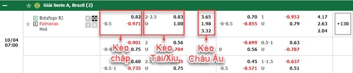bảng kèo trận đấu Botafogo vs Palmeiras