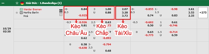 bảng kèo trận đấu Bremen vs Hertha Berlin