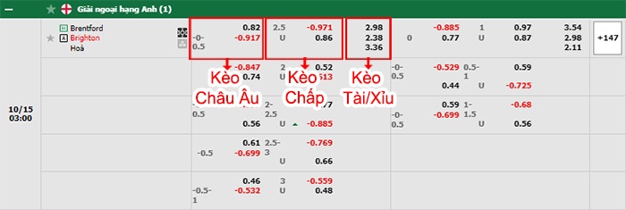 bảng kèo trận đấu Brentford vs Brighton